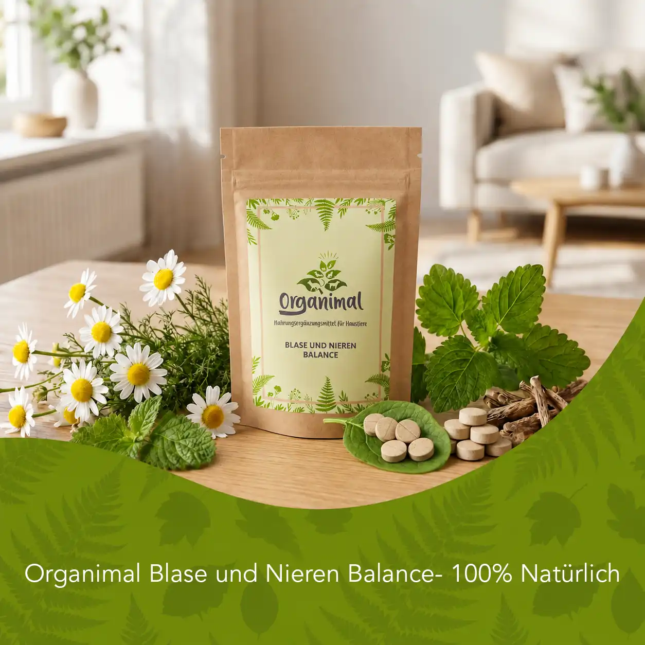 Blase und Nieren Balance für Katzen – Bild 6