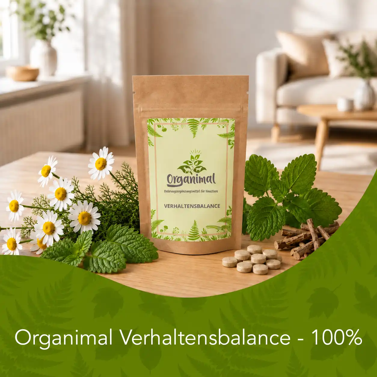 Verhaltensbalance - Hunde – Bild 6