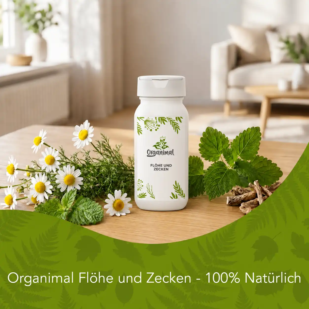 Flöhe und Zecken - Flohmittel für Katzen – Bild 5