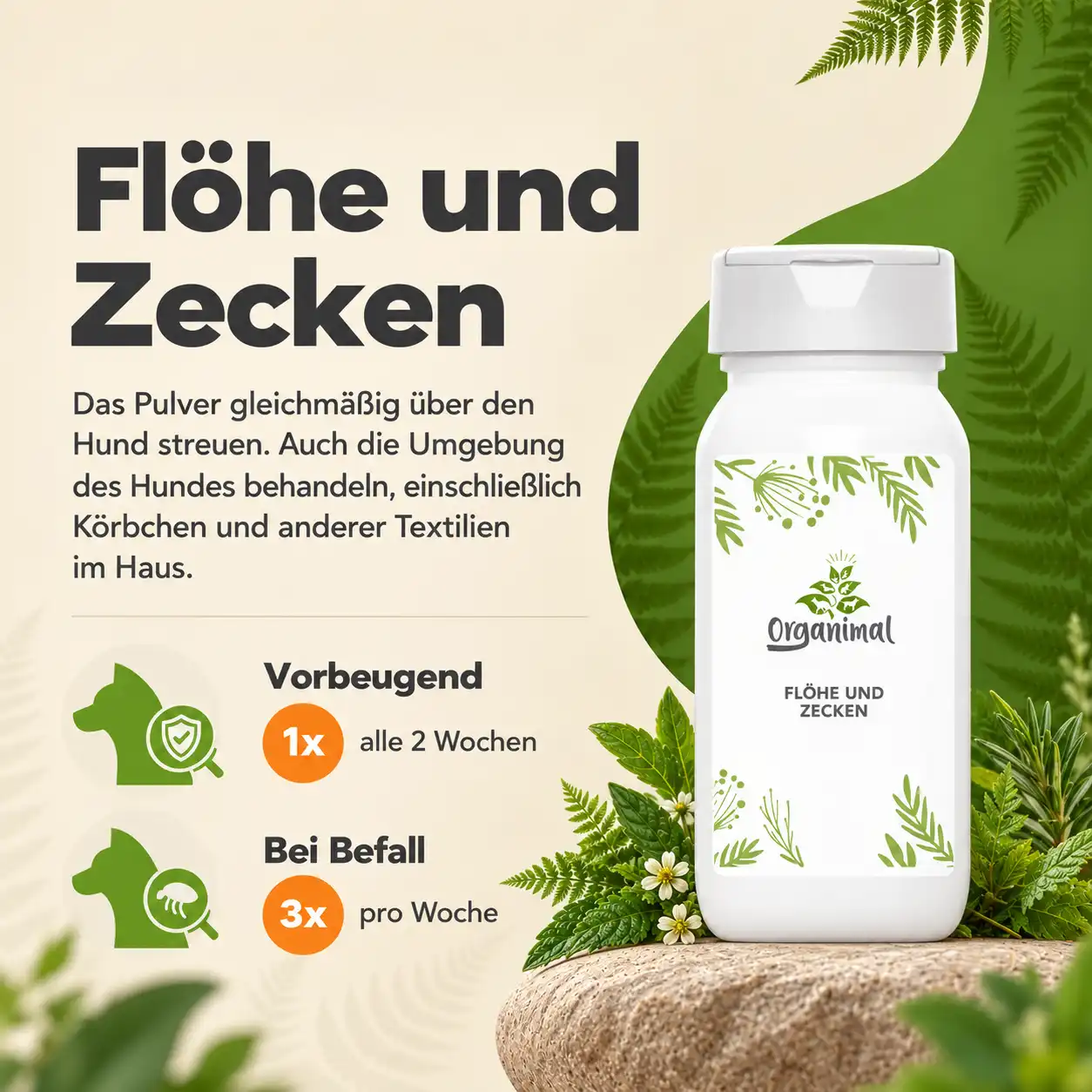 Flöhe und Zecken - Flohmittel für Katzen – Bild 4
