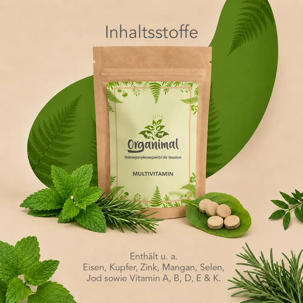 Multivitamin - Katzen – Bild 3