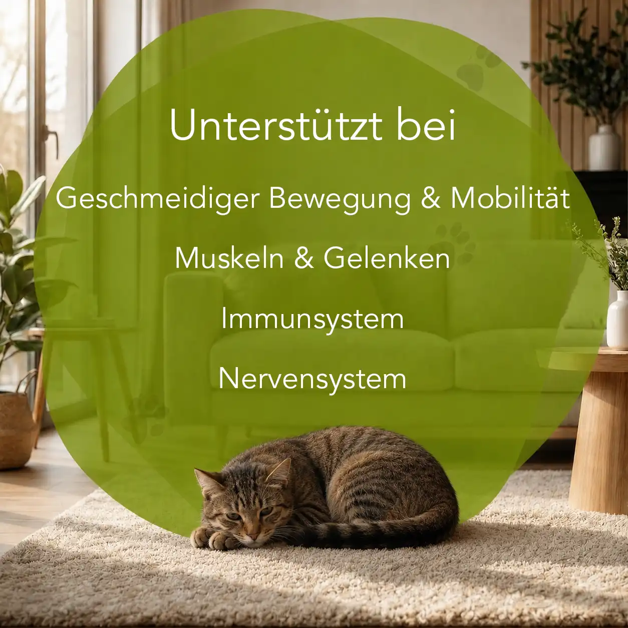 Organimal PEA - Katzen – Bild 2