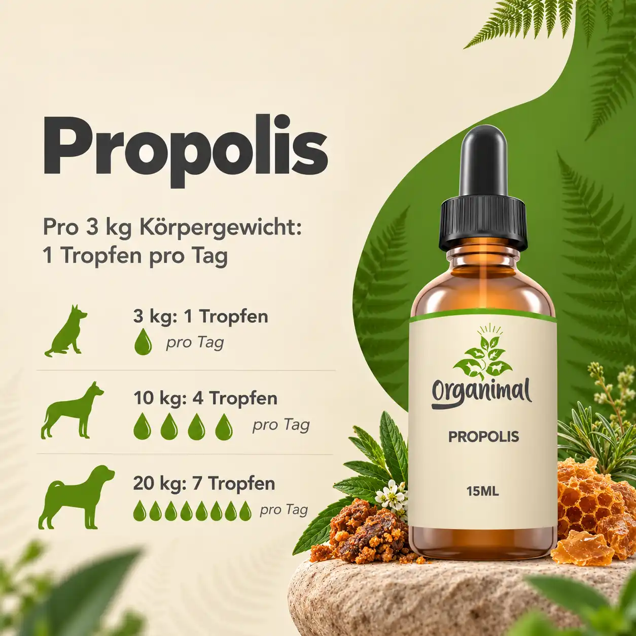 Propolis - Hunde – Bild 4