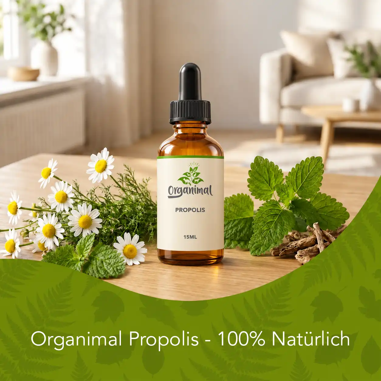 Propolis - Katzen – Bild 5