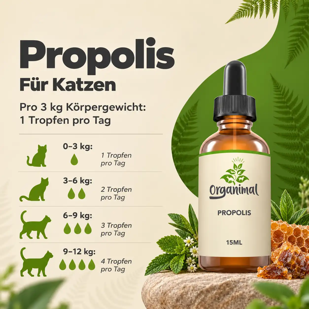 Propolis - Katzen – Bild 4