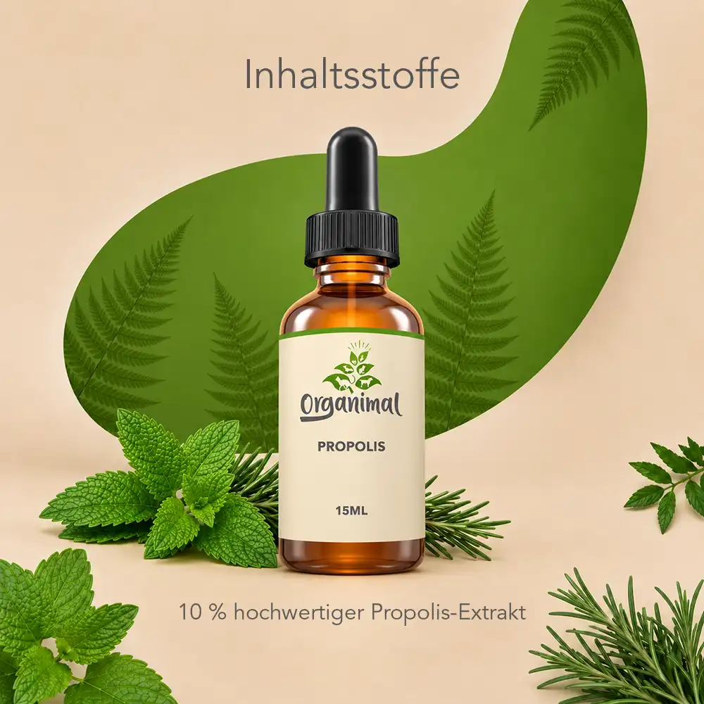 Propolis - Katzen – Bild 3