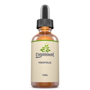Propolis - Hunde
