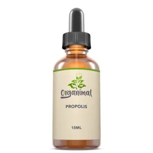Propolis - Hunde