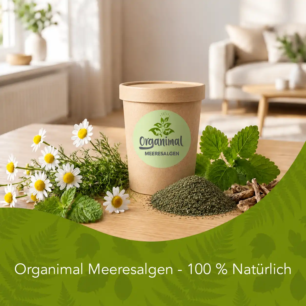 Organimal Meeresalgen - Hunde – Bild 4