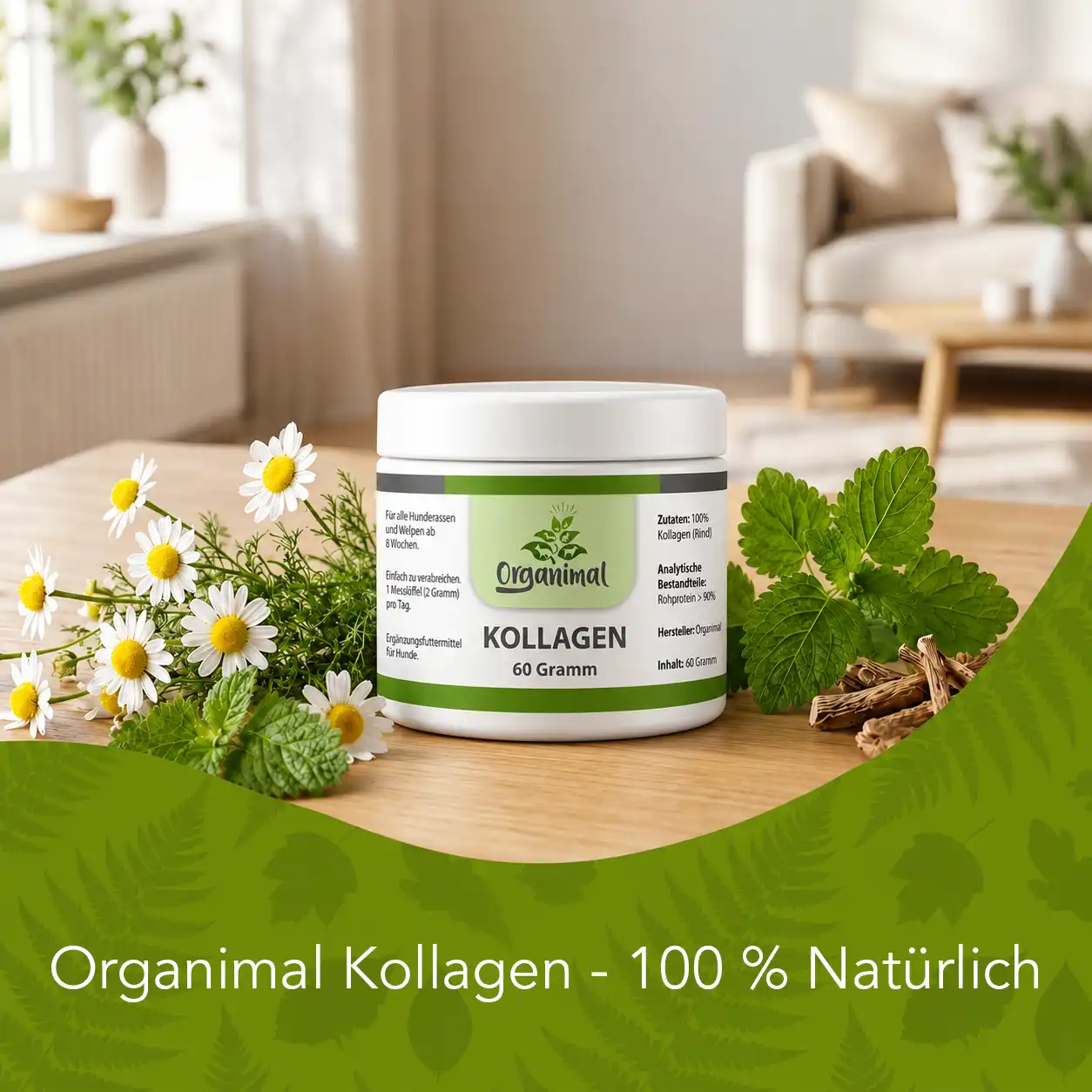 Kollagen - Katzen – Bild 5
