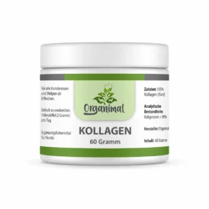 Kollagen für Katzen: Reines Gelenk- & Fellpulver