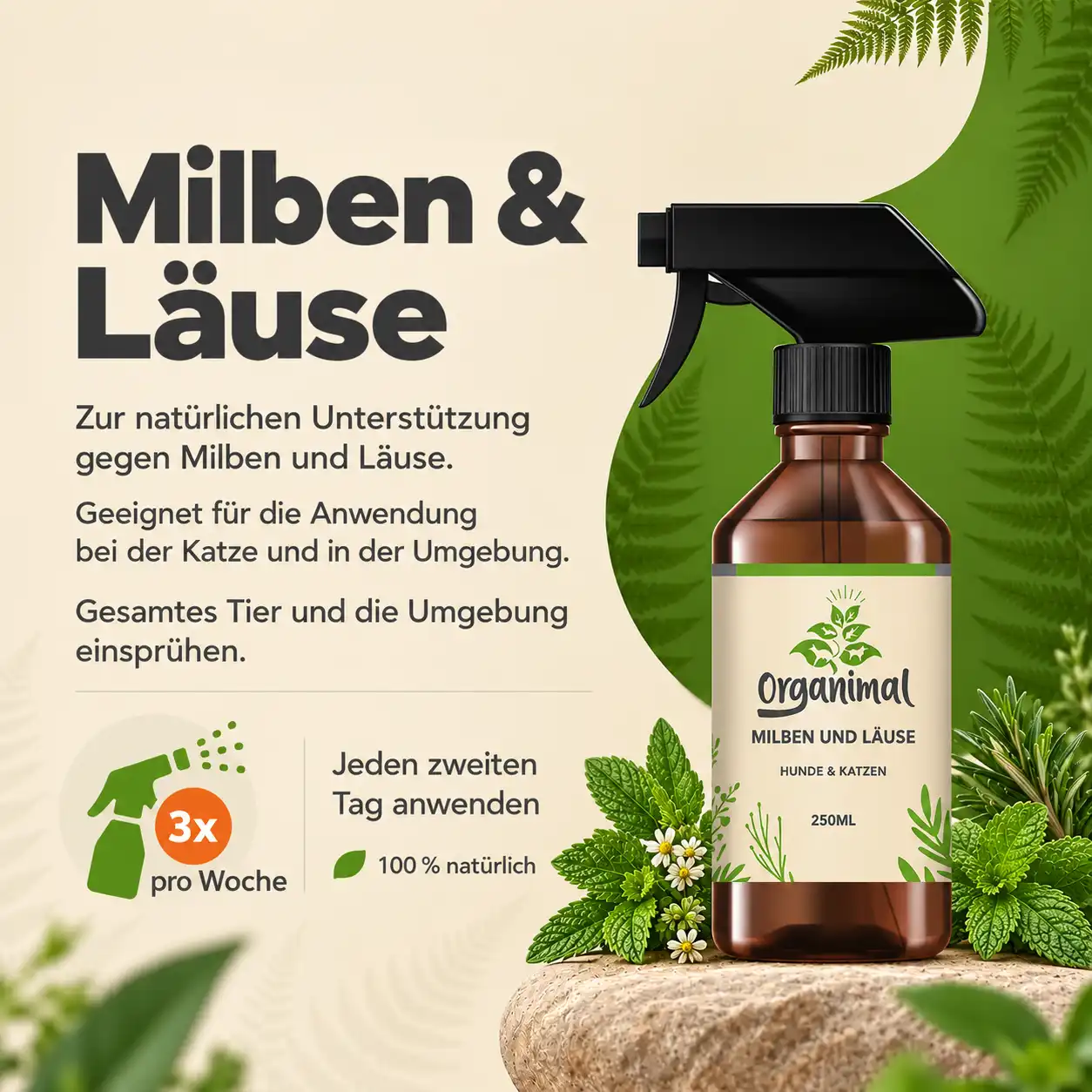 Milben und Läuse - Katzen – Bild 4