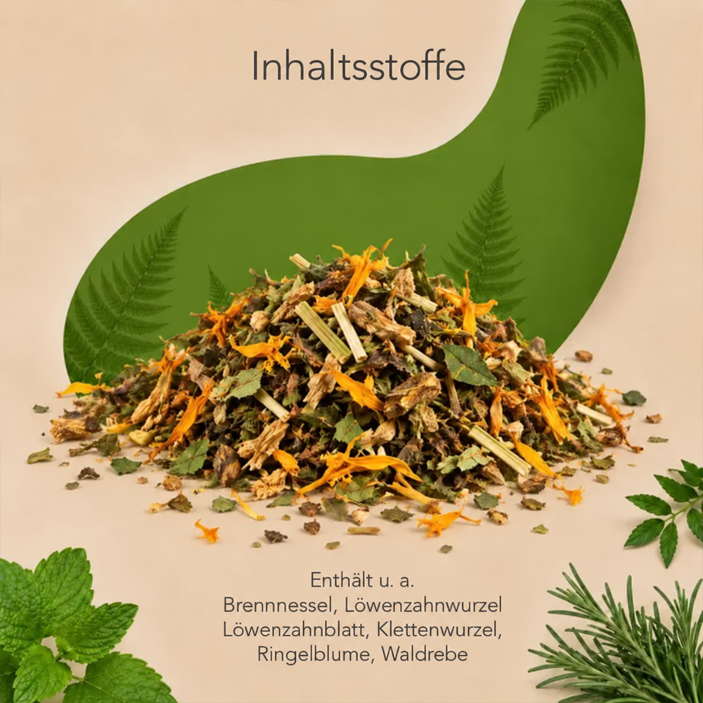 Allergiekräuter - Hunde – Bild 2