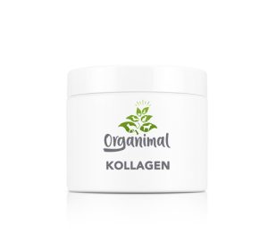 Kollagen - Hunde