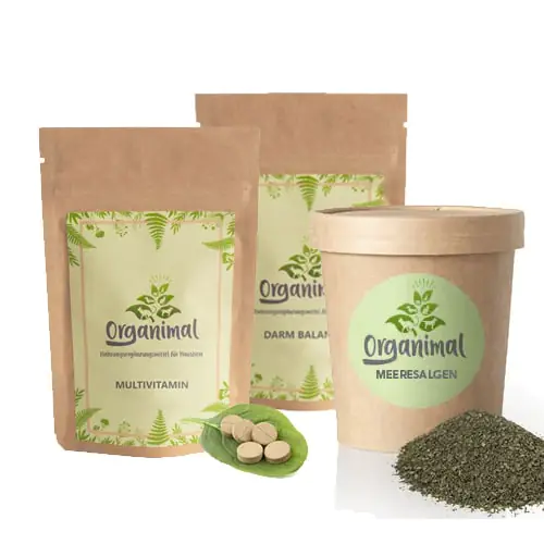 Immunsystem-Set - Hunde