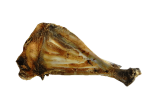 Organimal Schulterblatt Hirsch