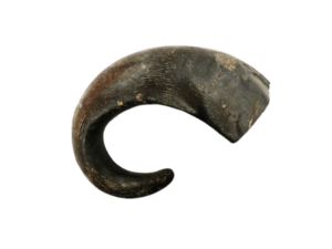 Organimal Büffelhorn