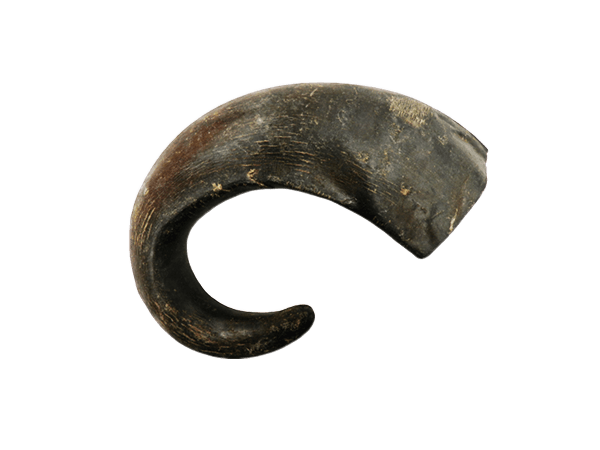 Organimal Büffelhorn