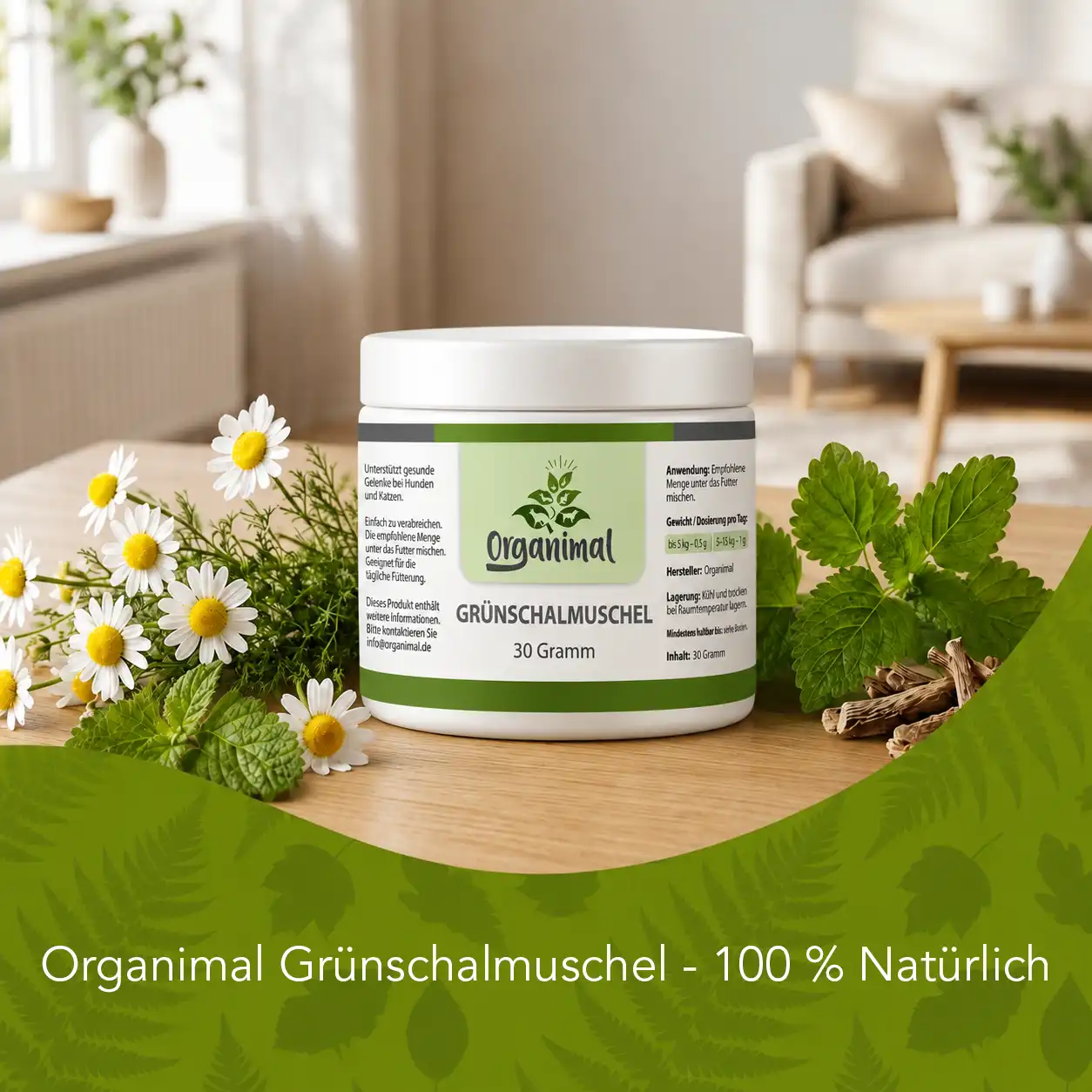 Organimal Grünschalmuschel – Katzen – Bild 5