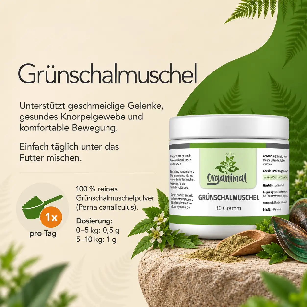 Organimal Grünschalmuschel – Katzen – Bild 4