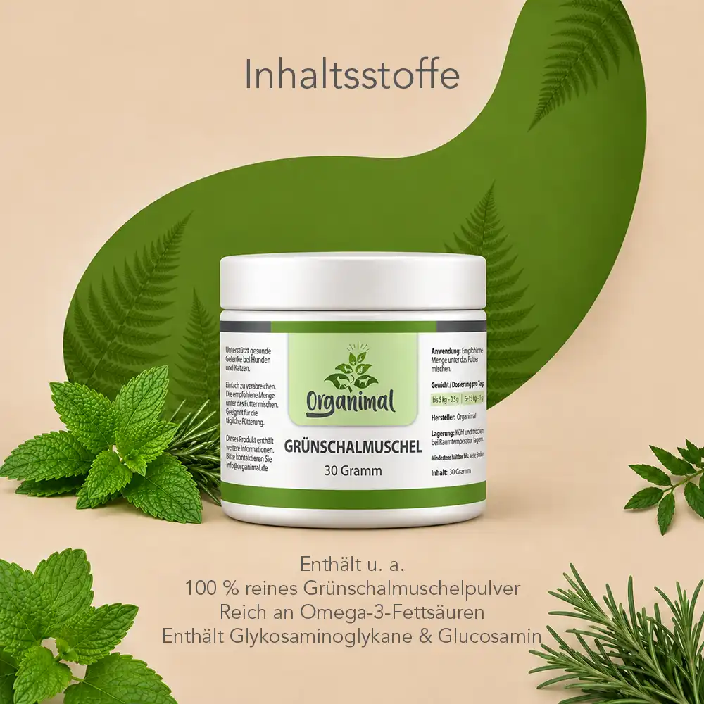 Organimal Grünschalmuschel – Katzen – Bild 3