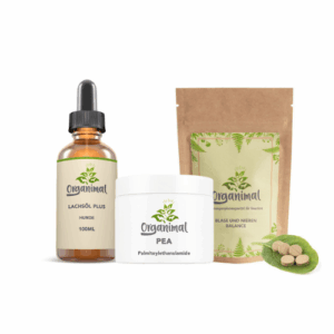Blase & Nierenpaket – Hunde