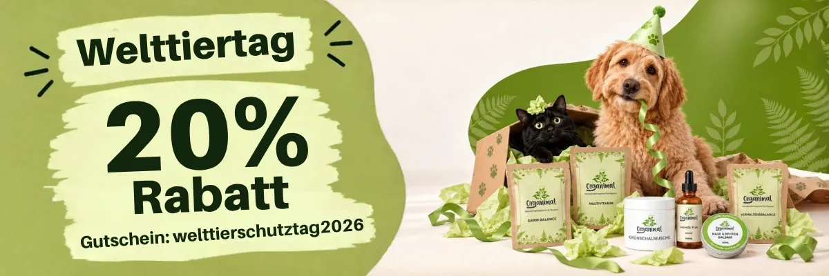 Discount!